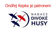 www.divokehusy.cz