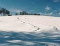 Oblíbená Vysočina - předjaří 2004, Blatiny u Devíti skal Foto: Ondřej Kepka