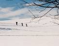 Oblíbená Vysočina - předjaří 2004, Blatiny u Devíti skal Foto: Ondřej Kepka